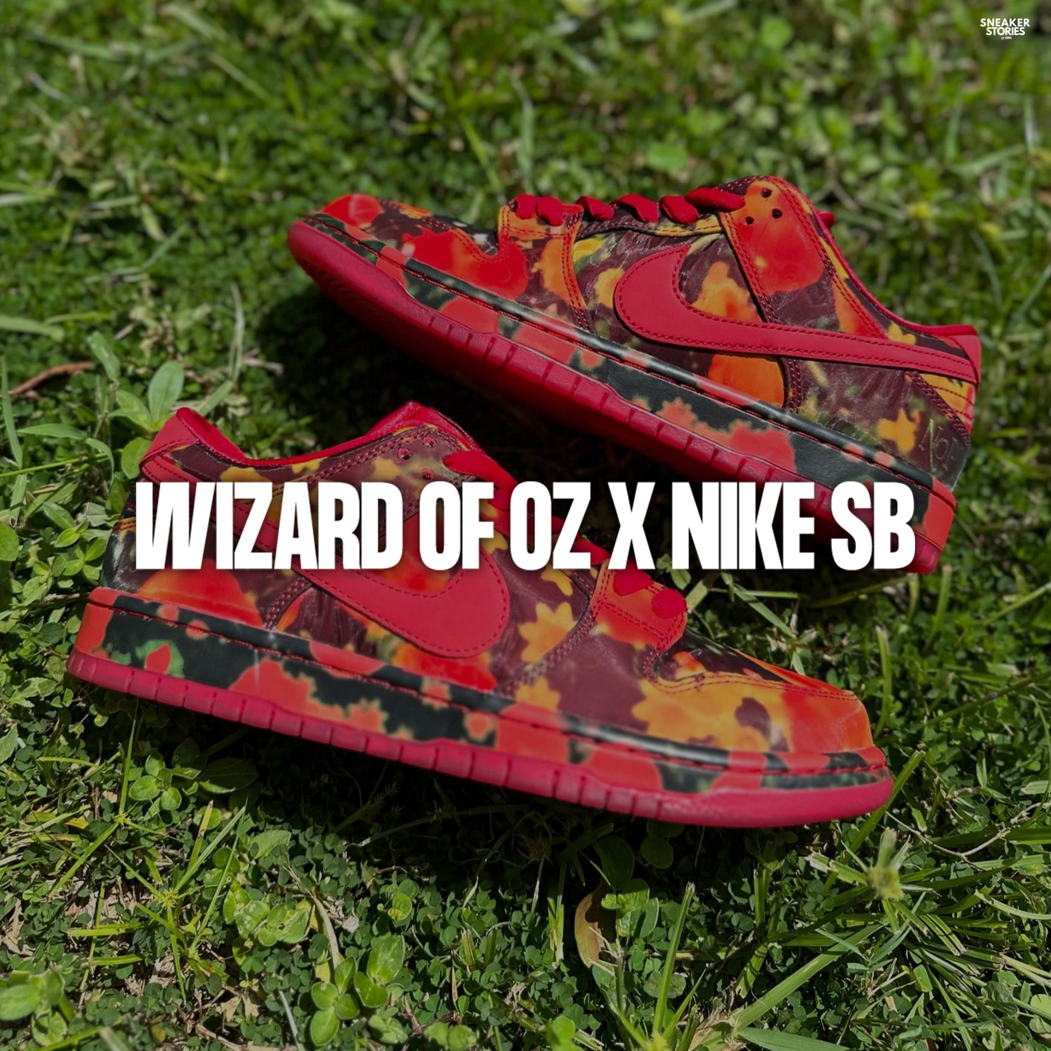 Wizard of Oz x Nike SB